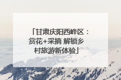 甘肃庆阳西峰区：赏花+采摘 解锁乡村旅游新体验