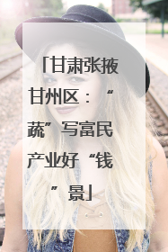甘肃张掖甘州区：“蔬”写富民产业好“钱”景