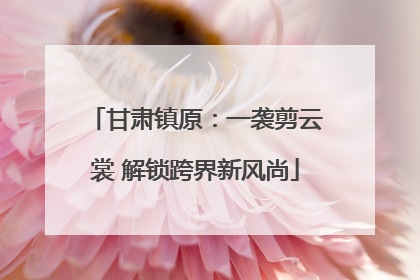 甘肃镇原：一袭剪云裳 解锁跨界新风尚