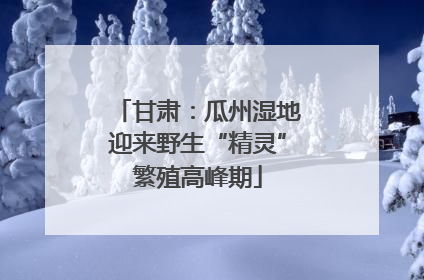 甘肃：瓜州湿地迎来野生“精灵”繁殖高峰期