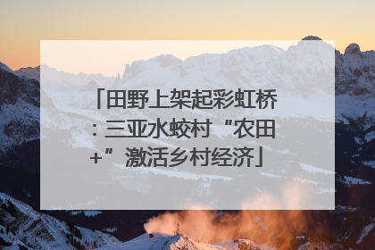 田野上架起彩虹桥：三亚水蛟村“农田+”激活乡村经济