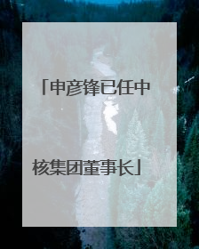 申彦锋已任中核集团董事长