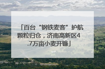 百台“钢铁麦客”护航颗粒归仓，济南高新区4.7万亩小麦开镰