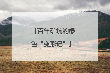 百年矿坑的绿色“变形记”