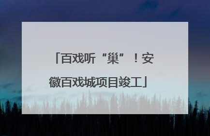 百戏听“巢”！安徽百戏城项目竣工