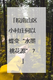皖南山区小村庄何以蝶变“水墨桃花源”？