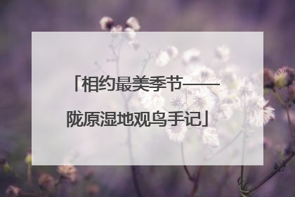 相约最美季节——陇原湿地观鸟手记