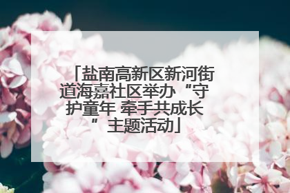 盐南高新区新河街道海嘉社区举办“守护童年 牵手共成长”主题活动