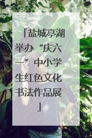 盐城亭湖举办“庆六一”中小学生红色文化书法作品展