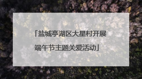 盐城亭湖区大星村开展端午节主题关爱活动