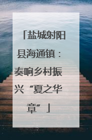 盐城射阳县海通镇：奏响乡村振兴“夏之华章”