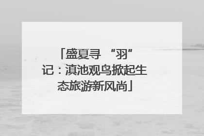 盛夏寻 “羽” 记：滇池观鸟掀起生态旅游新风尚