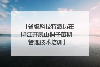 省级科技特派员在印江开展山桐子苗期管理技术培训