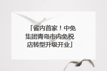 省内首家！中免集团青岛市内免税店转型升级开业