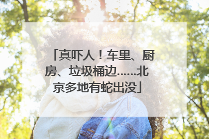 真吓人！车里、厨房、垃圾桶边……北京多地有蛇出没