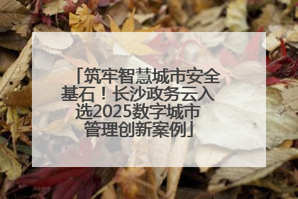 筑牢智慧城市安全基石！长沙政务云入选2025数字城市管理创新案例