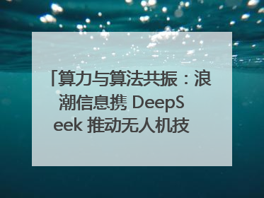 算力与算法共振：浪潮信息携 DeepSeek 推动无人机技术在舟山落地