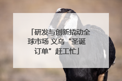 研发与创新撬动全球市场 义乌“圣诞订单”赶工忙