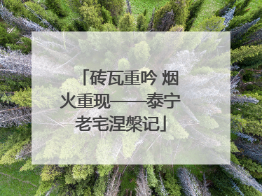 砖瓦重吟 烟火重现——泰宁老宅涅槃记