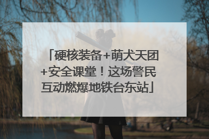 硬核装备+萌犬天团+安全课堂！这场警民互动燃爆地铁台东站