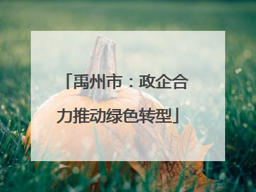 禹州市：政企合力推动绿色转型