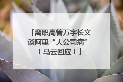 离职高管万字长文谈阿里“大公司病”！马云回应！