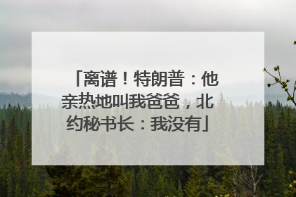 离谱！特朗普：他亲热地叫我爸爸，北约秘书长：我没有