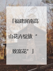 福建屏南高山花卉绽放“致富花”