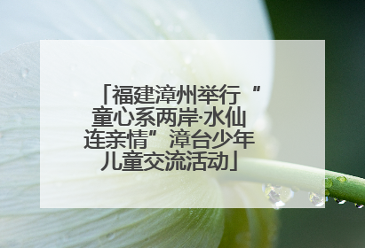 福建漳州举行“童心系两岸·水仙连亲情”漳台少年儿童交流活动