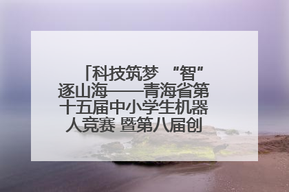 科技筑梦 “智”逐山海——青海省第十五届中小学生机器人竞赛 暨第八届创新设计大赛见闻
