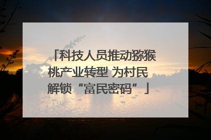 科技人员推动猕猴桃产业转型 为村民解锁“富民密码”