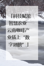 科技赋能智慧农业 云南咖啡产业插上“数字翅膀”