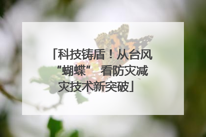 科技铸盾！从台风“蝴蝶” 看防灾减灾技术新突破