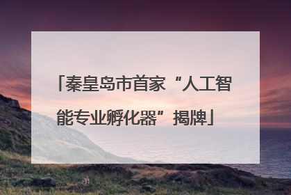秦皇岛市首家“人工智能专业孵化器”揭牌
