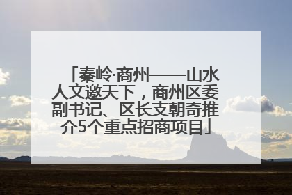 秦岭·商州——山水人文邀天下，商州区委副书记、区长支朝奇推介5个重点招商项目