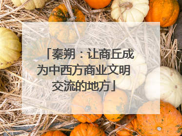 秦朔：让商丘成为中西方商业文明交流的地方