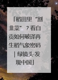稻田里“割韭菜”？看自贡如何破译再生稻气象密码｜绿镜头·发现中国