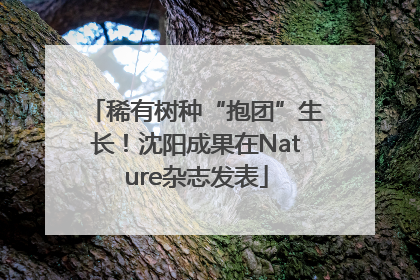 稀有树种“抱团”生长！沈阳成果在Nature杂志发表