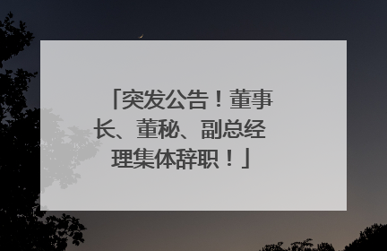 突发公告！董事长、董秘、副总经理集体辞职！