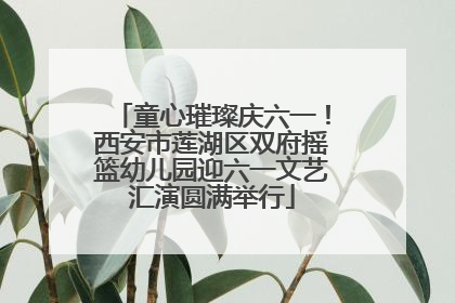 童心璀璨庆六一！西安市莲湖区双府摇篮幼儿园迎六一文艺汇演圆满举行