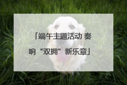 端午主题活动 奏响“双拥”新乐章