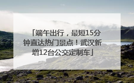 端午出行，最短15分钟直达热门景点！武汉新增12台公交定制车