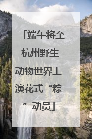 端午将至 杭州野生动物世界上演花式“粽”动员