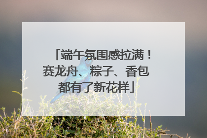 端午氛围感拉满！赛龙舟、粽子、香包都有了新花样