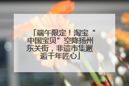 端午限定！淘宝“中国宝贝”空降扬州东关街，非遗市集邂逅千年匠心