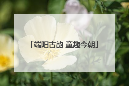 端阳古韵 童趣今朝