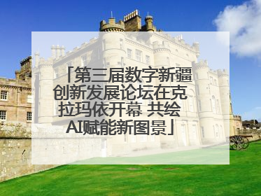 第三届数字新疆创新发展论坛在克拉玛依开幕 共绘AI赋能新图景