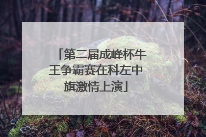 第二届成峰杯牛王争霸赛在科左中旗激情上演