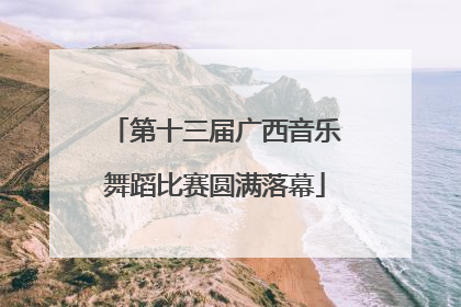 第十三届广西音乐舞蹈比赛圆满落幕