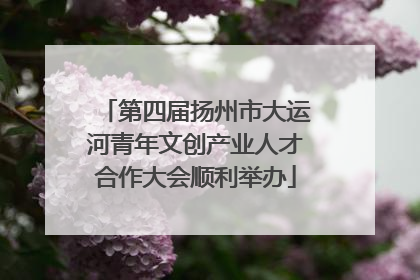 第四届扬州市大运河青年文创产业人才合作大会顺利举办
